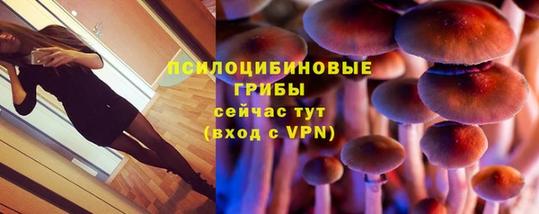прущие крисы Алексеевка