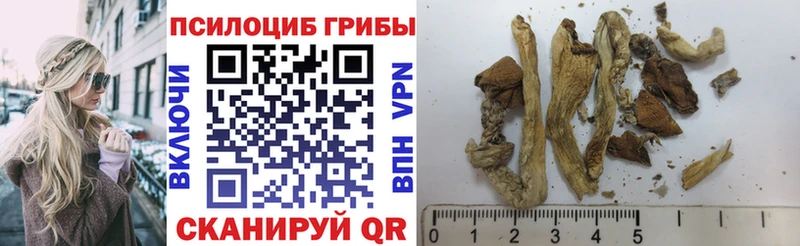 Галлюциногенные грибы прущие грибы  где найти   Дедовск 