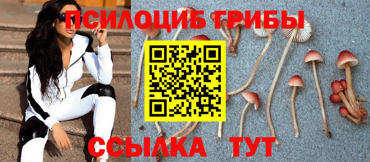 Псилоцибиновые грибы Magic Shrooms Дедовск